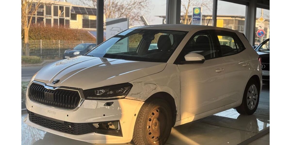 Skoda Fabia 45.140 km 9.999 &euro; Barsinghausen 30890