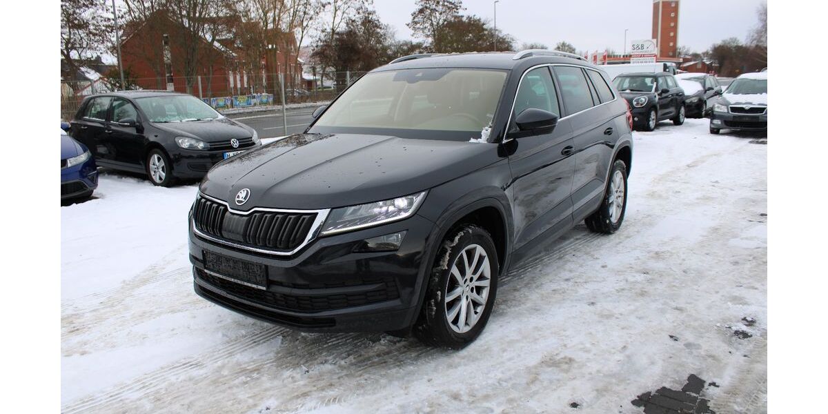 Skoda Kodiaq 290.000 km 13.999 &euro; Ronnenberg 30952