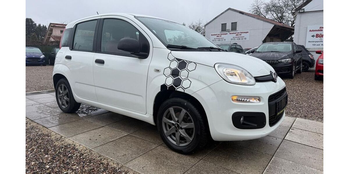 Fiat Panda 28.000 km 7.999 &euro; Hannover 30163