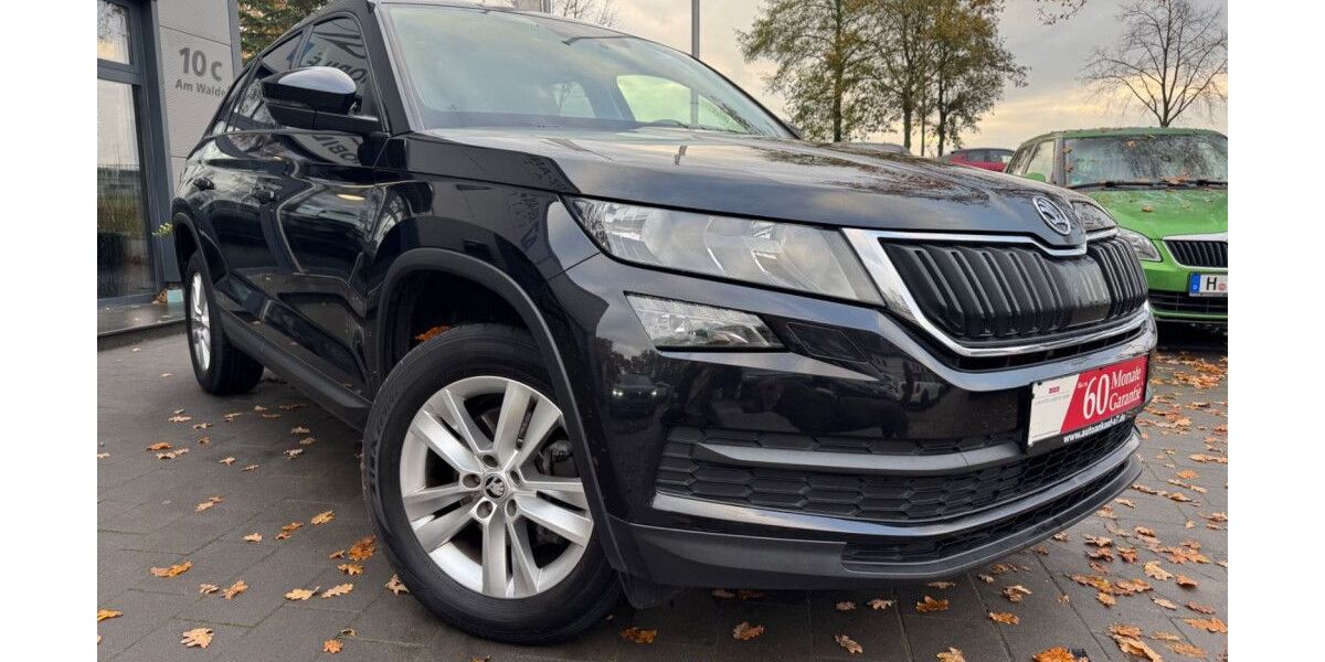 Skoda Kodiaq 175.831 km 17.999 &euro; Isernhagen OT Altwarmbüchen bei Hannover A2/A7 30916