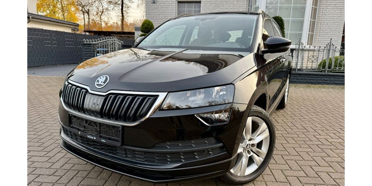 Skoda Karoq 113.153 km 13.997 &euro; hannover 30659