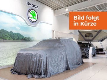 Gebrauchte Skoda Kamiq