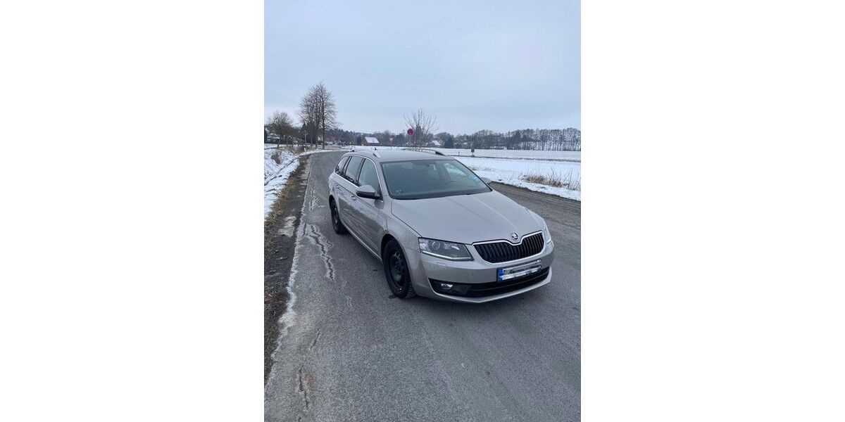 Skoda Octavia 355.000 km 5.000 &euro; Lauenau 31867