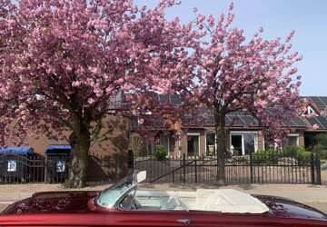 Oldsmobile Dynamic 88 9.999 km 49.500 &euro; Ronnenberg 30952