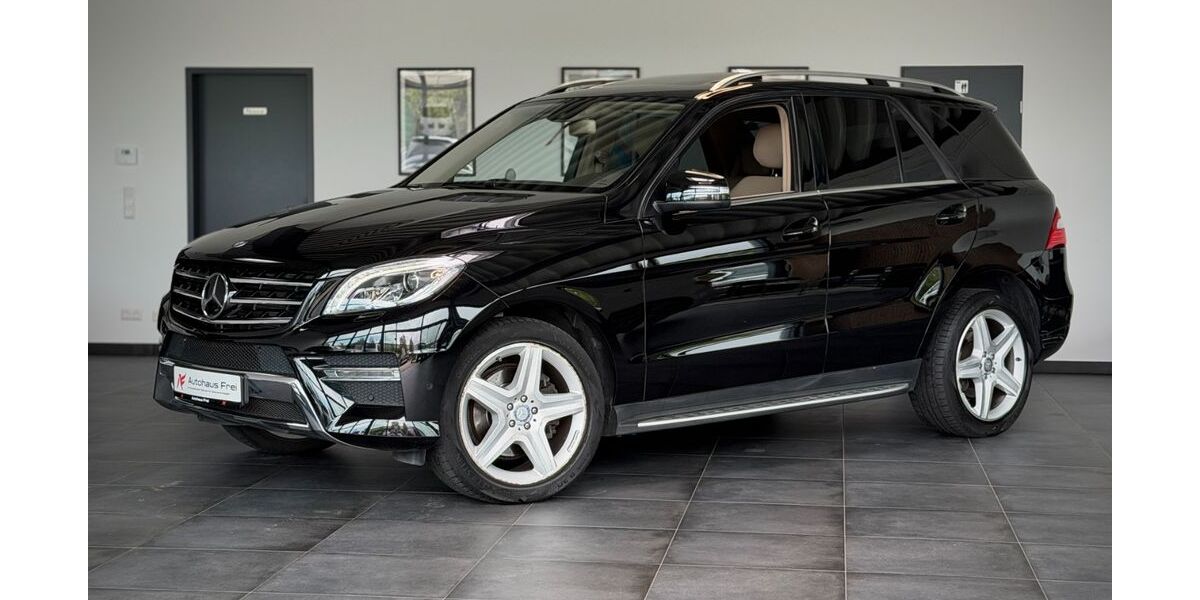 Mercedes-Benz ML 250 96.900 km 27.480 &euro; Laatzen 30880