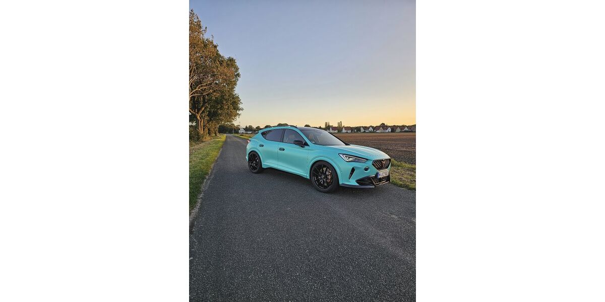 Cupra Formentor 12.500 km 43.999 &euro; Neustadt 31535